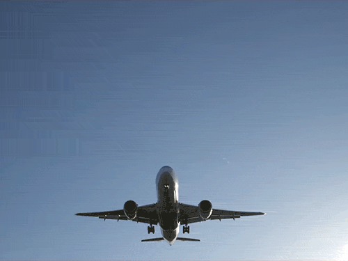 DGCA ने कोहरे-धुंध में उड़ान को तीन श्रेणियों में बांटा है। File - Dainik Bhaskar