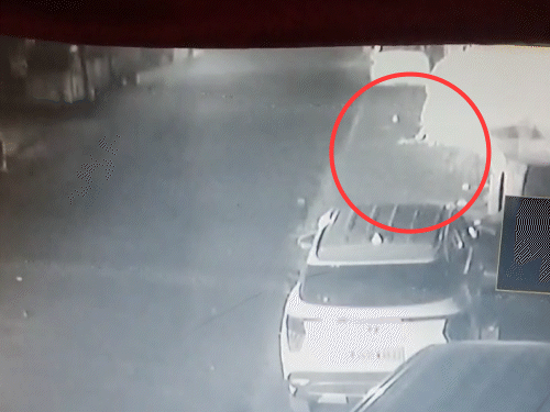 फोटो जयपुर की कल्याण कॉलोनी की है। यहां लेपर्ड रोड क्रॉस करता नजर आ रहा है।