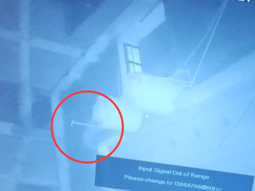 कल्याण कॉलोनी में एक निर्माणाधीन बिल्डिंग में घूमता लेपर्ड।