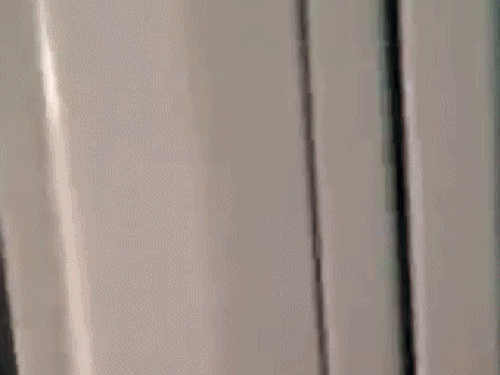 युवती व महिला को गाड़ी में बैठाकर लेकर जाती पुलिस।