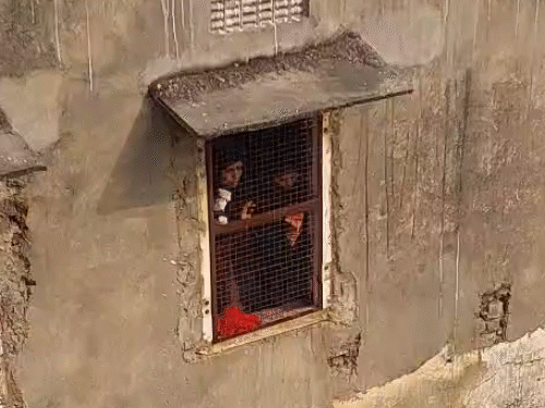 लेपर्ड की दहशत से कई लोग अपने घरों में बंद हो गए। खिड़की से वन विभाग के रेस्क्यू ऑपरेशन को देखती महिलाएं।