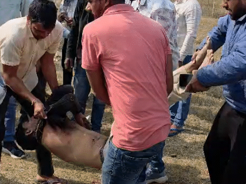 गुरुवार को सीकर के श्रीमाधोपुर के बाइपास स्थित पेट्रोल पंप के पास हुए हादसे के बाद अफरा-तफरी मच गई थी।