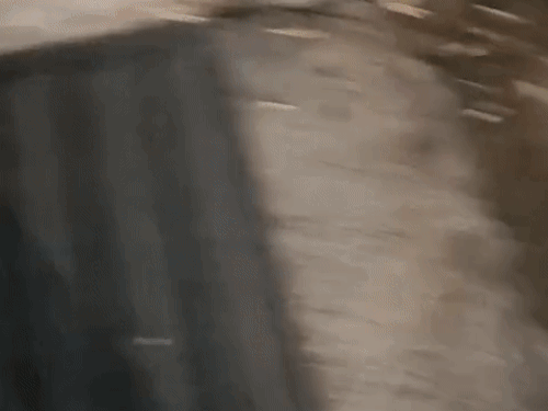 गोलियां चलने के बाद इधर-उधर भागते लोग।