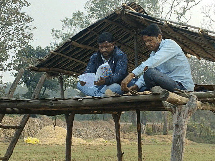 मचान पर बैठकर काम करते हुए बीएलओ।