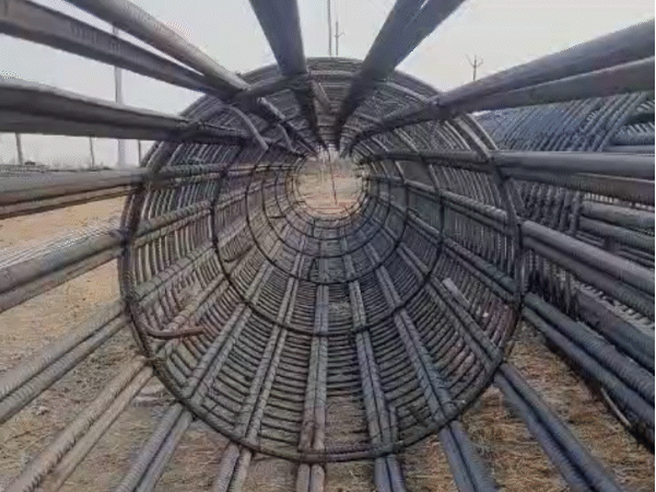 पीलर की मजबूती के लिए भारी भरकम सरिये के जंगले रखे जा रहे हैं।