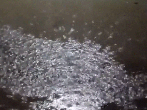 राजस्थान: जयपुर समेत कई शहरों में हल्की बारिश हुई।