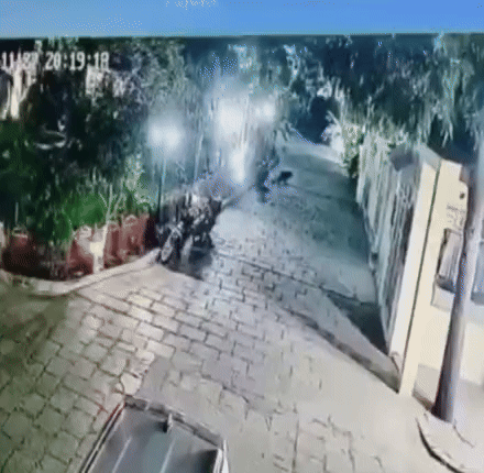 गुरुवार को इसी लेपर्ड को चांदपोल के नजदीक संजय सर्किल एरिया में भी देखा गया था।