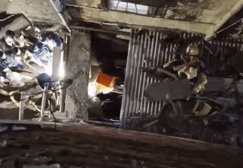 चांदपोल की दुकान से रेस्क्यू लेपर्ड की उम्र करीब डेढ़ साल बताई जा रही है। वन विभाग के अनुसार ये मेल लेपर्ड है।