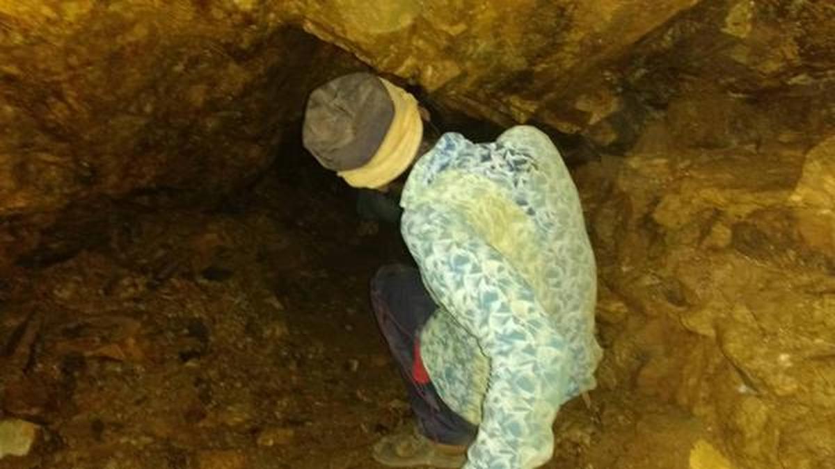 તાજિકિસ્તાનની ખાણોમાં સોનું, એન્ટિમની, ચાંદી અને દુર્લભ માટી પુષ્કળ પ્રમાણમાં જોવા મળે છે.