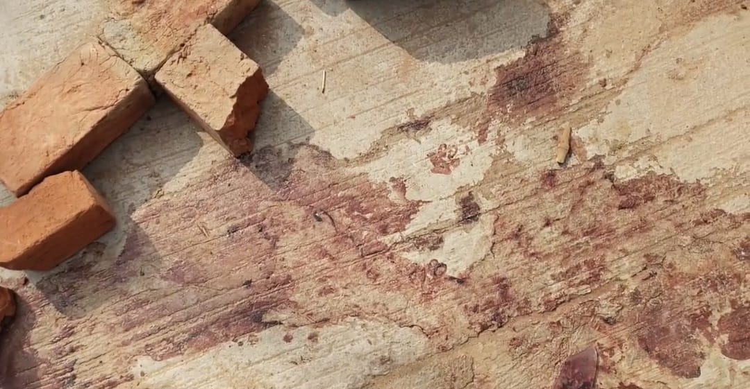 महेंद्रगढ़ में स्कॉर्पियो से कुचलकर बुजुर्ग की हत्या:  बेटे के साथ हुआ था युवकों का झगड़ा; गली में खड़ा था, पहले डंडों से पीटा – Narnaul News