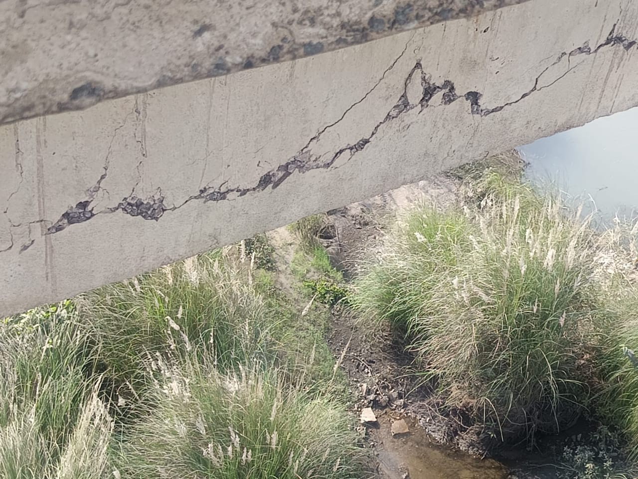 67115e41 b9a5 4fd3 a58a 095bd6b4e647 1764499294806