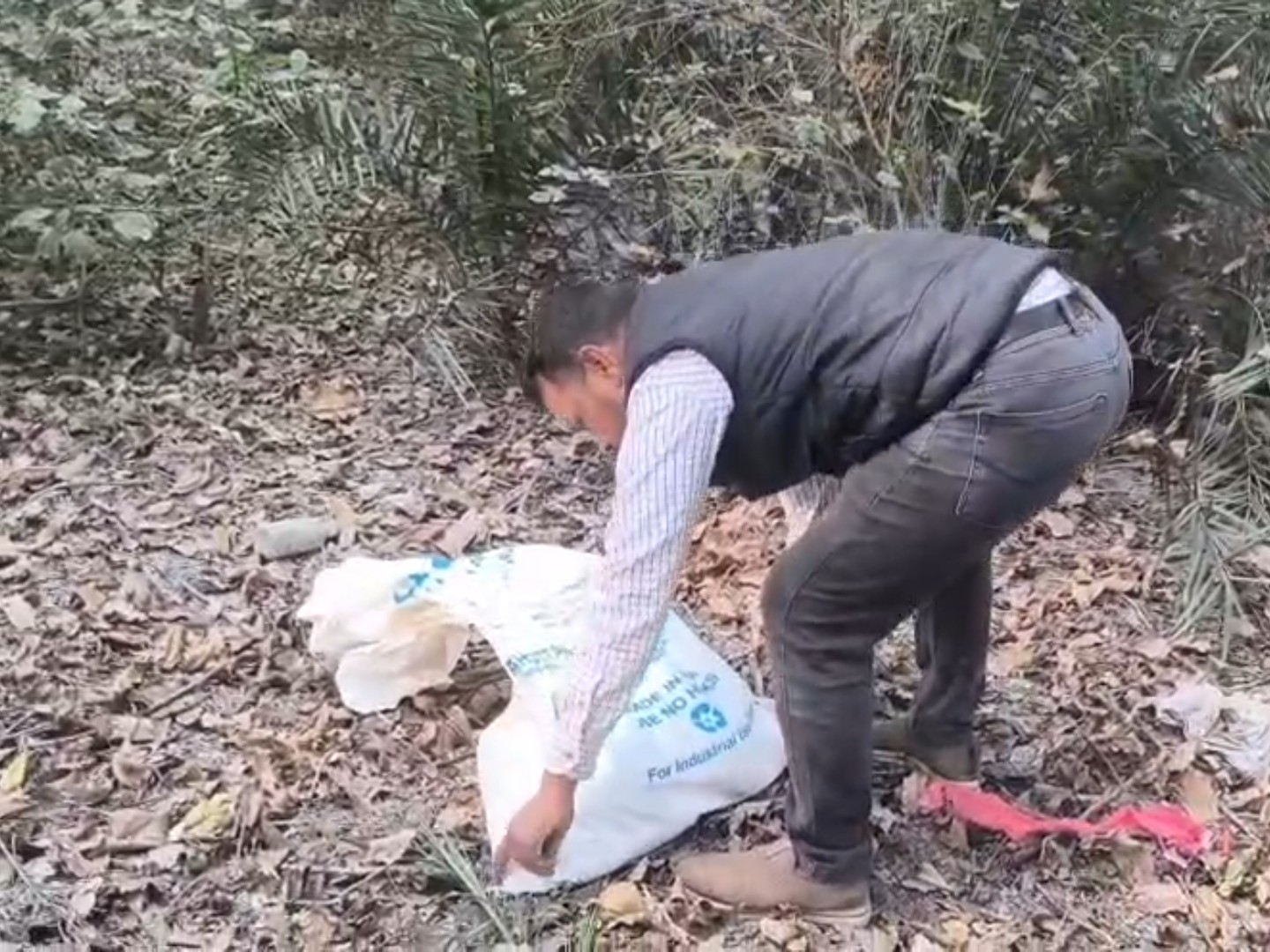 फरीदाबाद में मिला 7 फीट लंबा अजगर:  दिल्ली–मुंबई एक्सप्रेसवे पर बैठा था, रेस्क्यू टीम ने पकड़कर जंगल में छोड़ा – Ballabgarh News