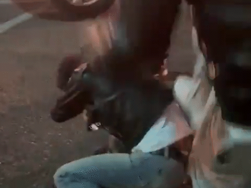 ऑस्ट्रेलिया के एडिलेड शहर में अगस्त में भारतीय छात्र चरणप्रीत सिंह को कुछ संदिग्धों ने बेरहमी से पीटा था।