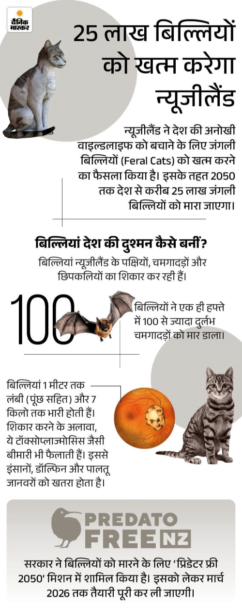 इन्फोग्राफिक्स: विपुल शर्मा