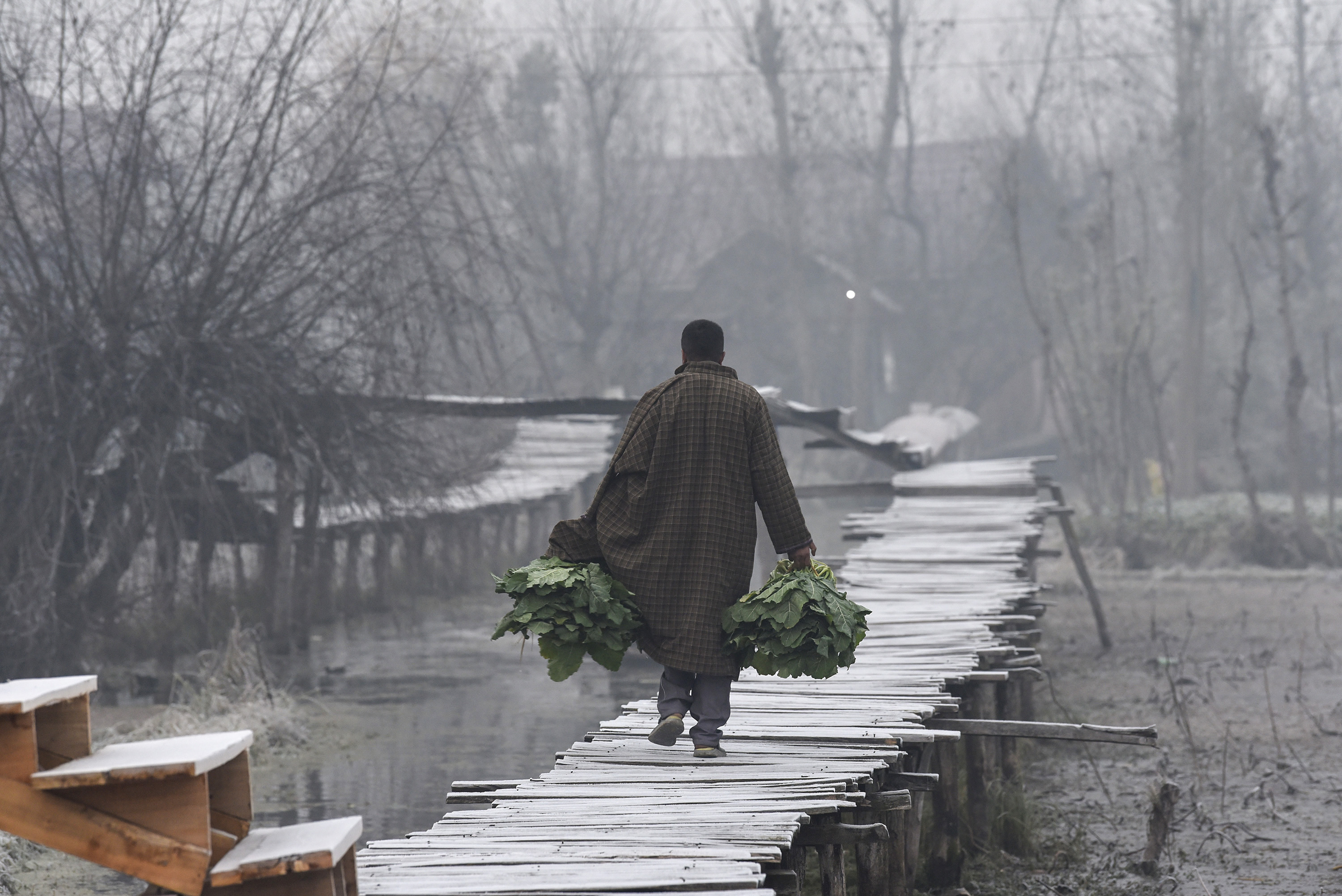 श्रीनगर: डल झील के आसपास छाई धुंध, इसी बीच वीकली फ्लोटिंग मार्केट के लिए सब्जियां लेकर जाता लोकल व्यापारी।