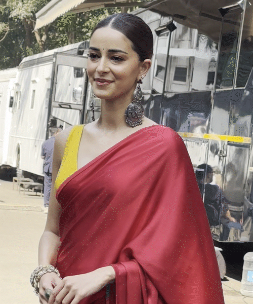 रेड साड़ी में अनन्या काफी खूबसूरत लग रही हैं।