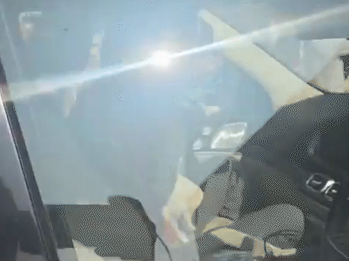 भाजप आमदार म्हणाले- अनेक महिला कुत्र्यासोबत झोपतात: संसदेत रेणुका चौधरींच्या प्रश्नावर लज्जास्पद विधान, आरजेडीने म्हटले- हा महिलांचा अपमान यावेळी माध्यमांचे लोक आणि इतर खासदार कुत्र्यासोबत खेळतानाही दिसले.