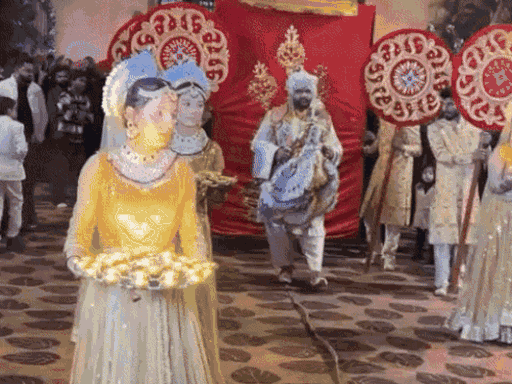 शादी में रॉयल अंदाज में एंट्री करता दूल्हा, इसी दौरान फायरिंग शुरू हो गई थी।