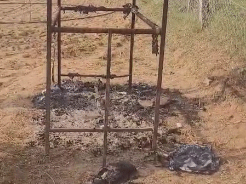 पुलिस के अनुसार कैलाश डेली रात को खेत पर बने मचान पर सोता था। इसी मचान पर दोनों को जलाया गया था।