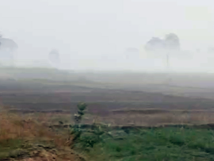 जामताड़ा में छाया कोहरा।