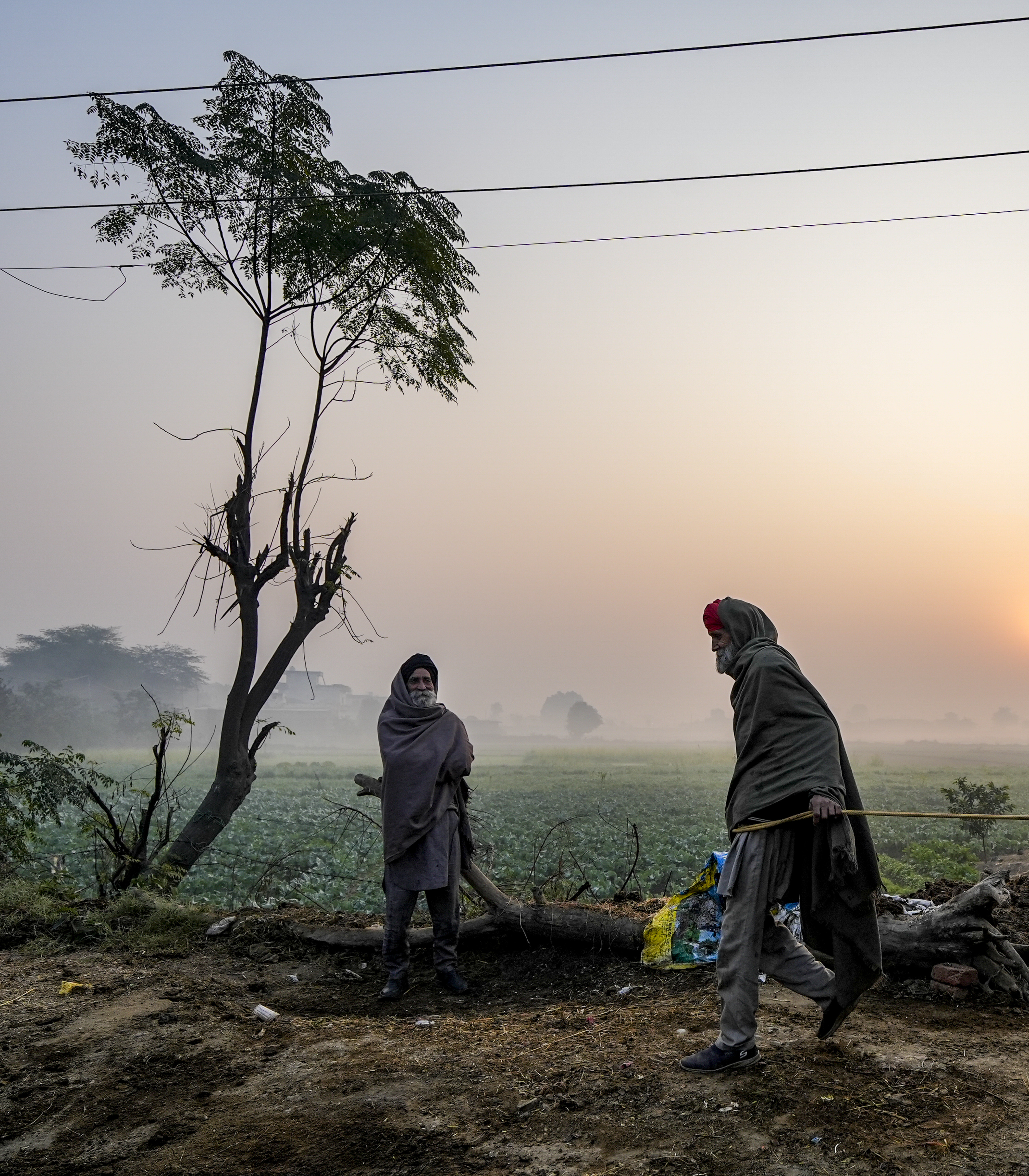 पंजाब के अमृतसर में सर्दी बढ़ने लगी है। इससे किसानों को सुबह खेतों में जाने में परेशानी का सामना करना पड़ रहा है।