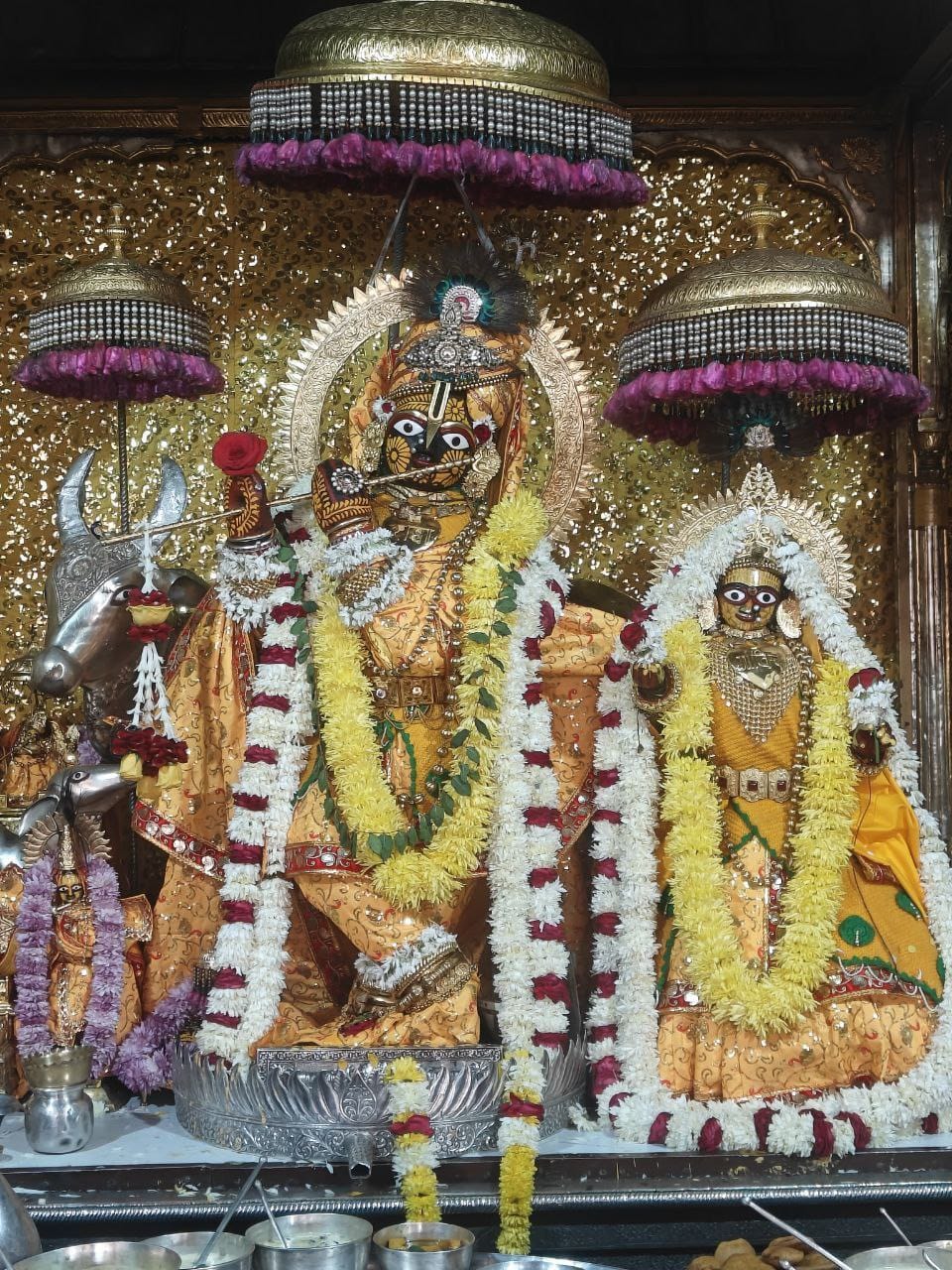 ठाकुर श्रीजी का शरद ऋतु विशेष वस्त्र और अलंकार धारण कराए गए।