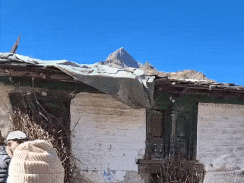 पिथौरागढ़ में खाने की तलाश में भटक रहे भालू:  घरों के दरवाजे और छतों को तोड़ रहे, दहशत में 14 गांवों के लोग – Pithoragarh News