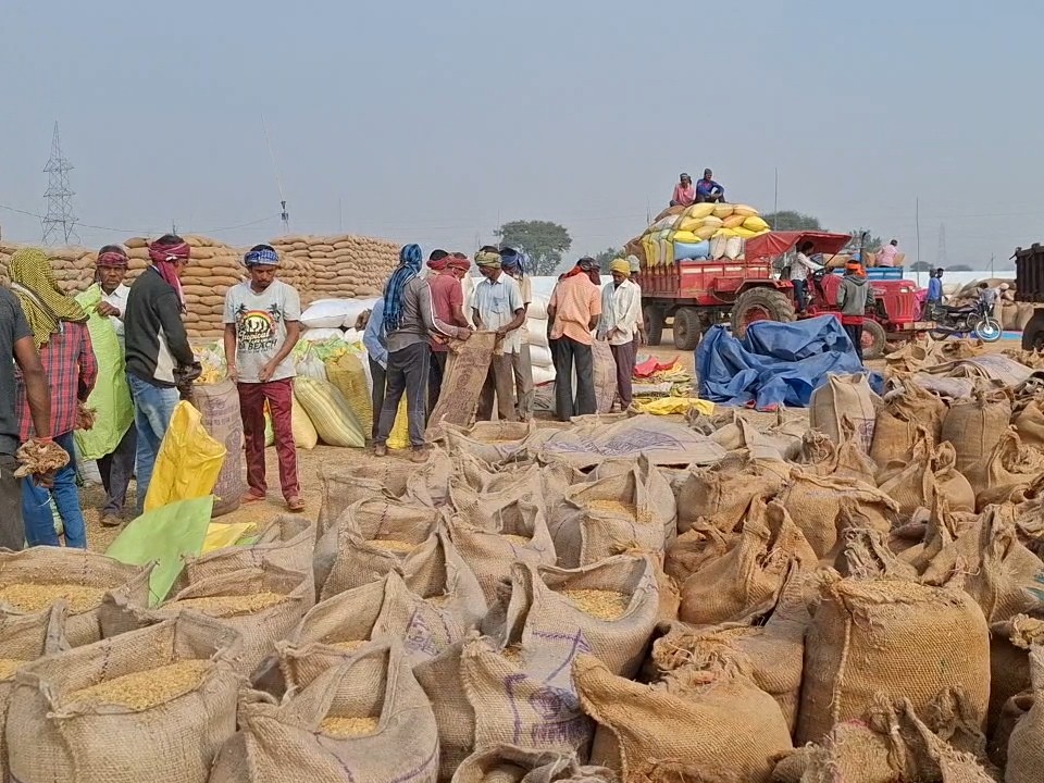 5f56b779 3afc 4066 8d32 92d40dc7bad0 1764679311571