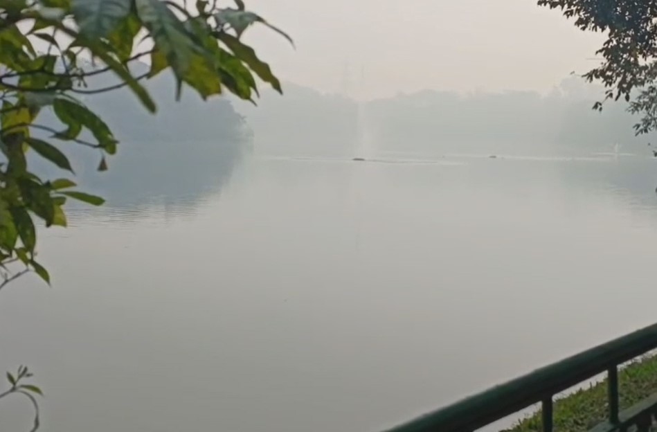 जमशेदपुर में सुबह छाया कोहरा।