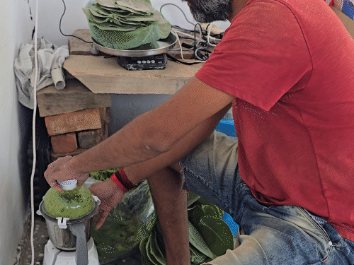 जैविक खाद और कीटनाशक बनाने के लिए सामग्री को मिलाकर पीसा जाता है। पीसने के बाद कुछ दिन उसे छाया में रखा जाता है। इसे छानकर छिड़काव और ड्रिप माध्यम से फसल में दिया जाता है।