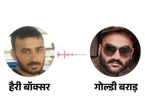 Harry Boxer Chandigarh Perry Murder Case: Lawrence vs Goldy Brar Gang Clash ...