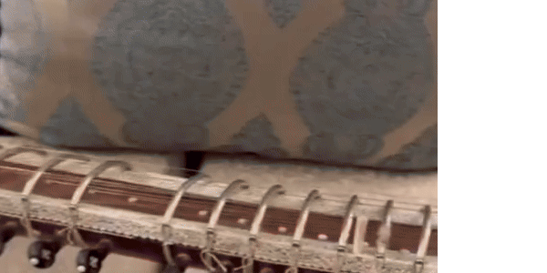 एअर इंडियावर संतापली सतार वादक रवि शंकर यांची मुलगी: प्रवासानंतर अनुष्काला तुटलेला सतार दिला, दावा- जाणूनबुजून तोडला; अनेक सेलिब्रिटींनी टीका केली एअर इंडियावर संतापली सतार वादक रवि शंकर यांची मुलगी: प्रवासानंतर अनुष्काला तुटलेला सतार दिला, दावा- जाणूनबुजून तोडला; अनेक सेलिब्रिटींनी टीका केली