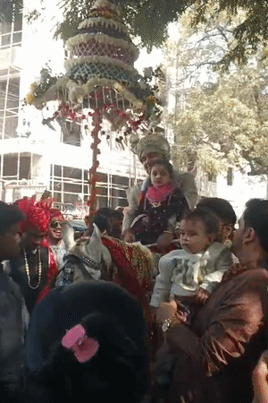 इंद्रेश उपाध्याय ने निकासी में ऑफ व्हाइट कलर की शेरवानी पहनी। सिर पर पगड़ी और हाथों में चांदी की छड़ी ले रखी थी।