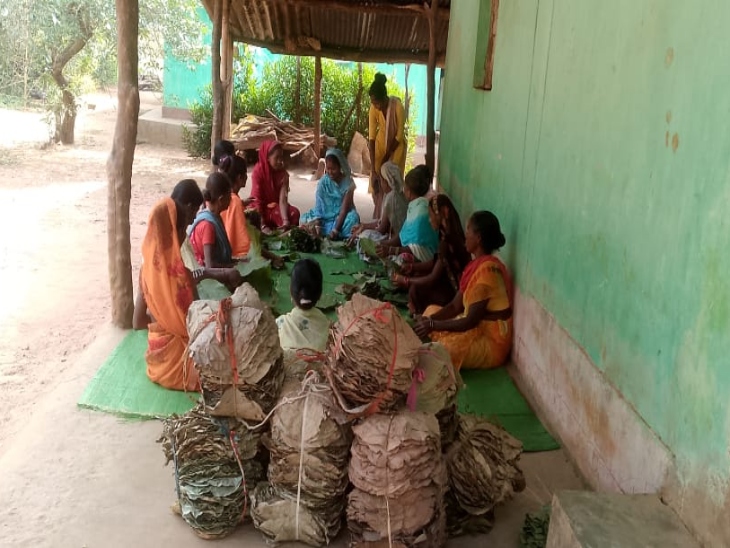 गांव-गांव में पत्तल बनाया जा रहा है।