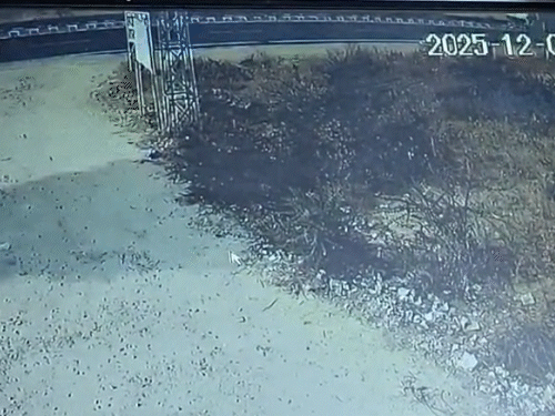 बेकाबू कार सामने से आ रहे ट्रक से जा टकराई।