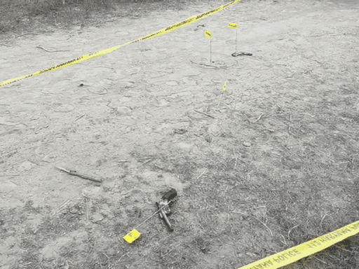 एनकाउंटर के बाद बरामद हथियार।