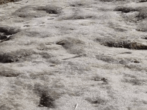 चमोली के औली में शुक्रवार को नदी और नाले का पानी जमकर बर्फ हो गया।