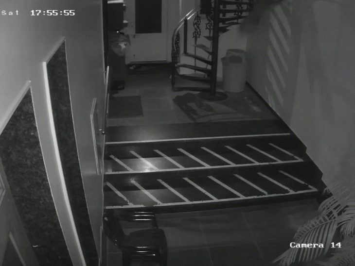 जयपुर के बजाज नगर-AG कॉलोनी में पहुंचा लेपर्ड-VIDEO:  लोगों ने CCTV में देखा तो वन विभाग को दी सूचना, टीम कर रही सर्च – Jaipur News