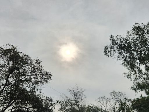 Temperature in Bhopal is 7°C...cold wave for three days | भोपाल में तीन दिन  से शीतलहर, पारा 7 डिग्री: बर्फीली हवाओं से ठिठुरा MP; इंदौर समेत 4 शहरों  में आज कोल्ड डे -