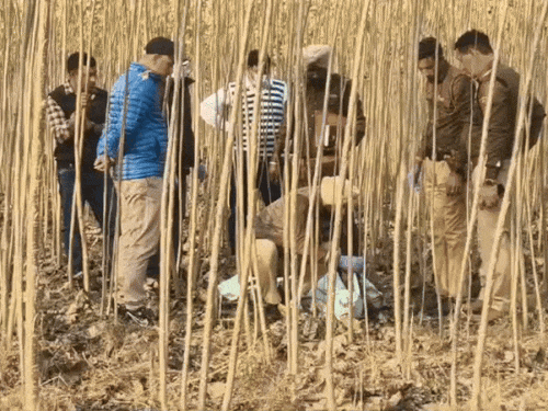 युवती के शव काे पोस्टमॉर्टम के लिए ले जाने से पहले सील करते पुलिस कर्मी।