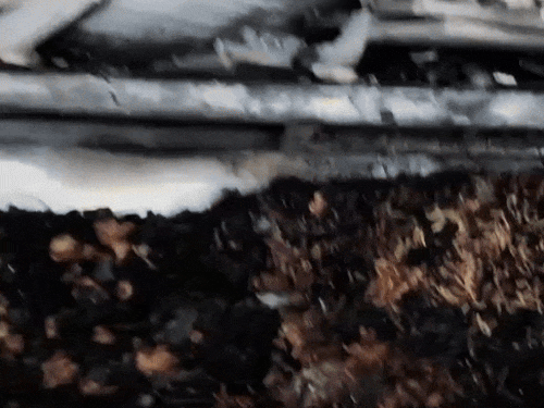 दुकान के अंदर आग से जला बेकरी का सामान।