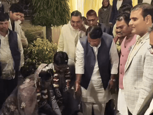 भाजपा जिलाध्यक्ष मानसिंह गुर्जर के नेतृत्व में वृक्षारोपण करते दुल्हा-दुल्हन।