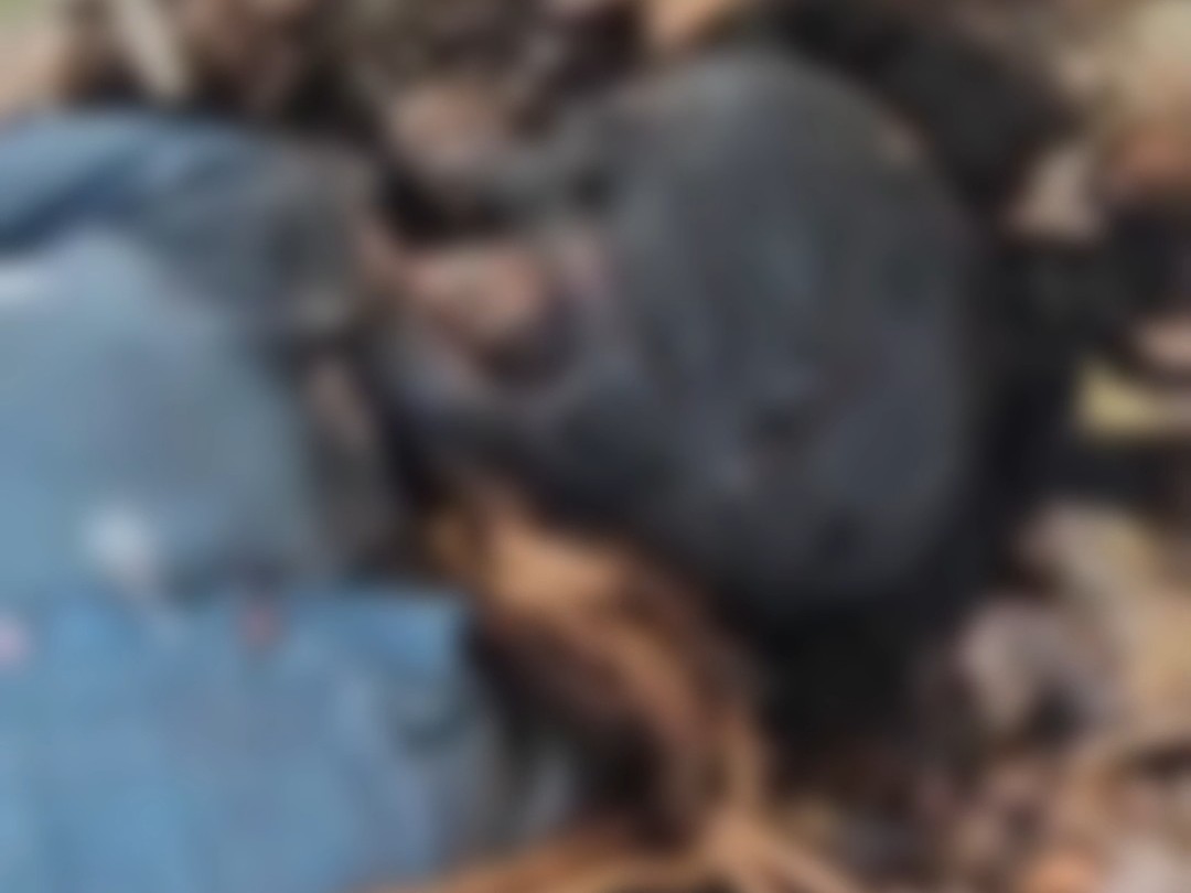 पेड़ों के बीच में पड़ा मिला शव।