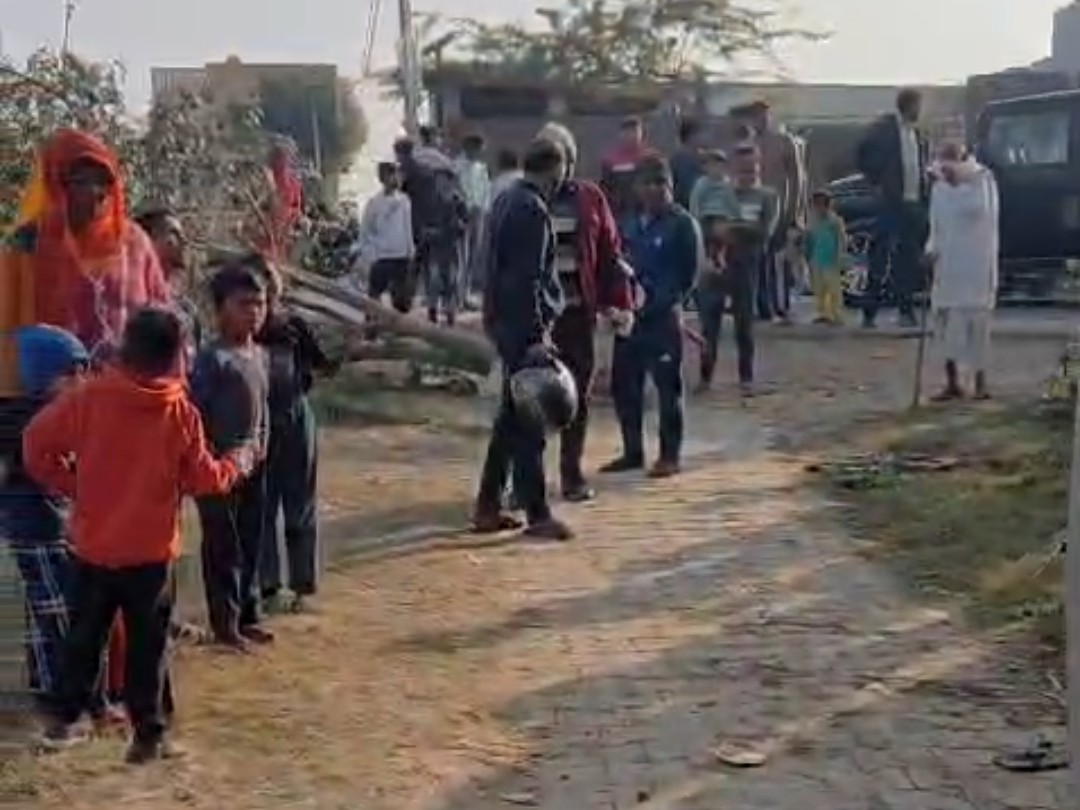 फरीदाबाद में रील्स बनाने के चक्कर में पलटी कार:  पेड़-मकान और खंभे से टकराई, कार सवार 4 घायल, बछड़े की मौत – Ballabgarh News