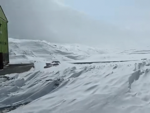 हिमाचल प्रदेश के लाहौल स्पीति के शिंकुला दर्रा में ताजा हिमपात