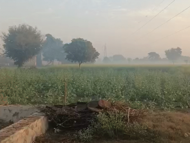 Rajasthan Weather Update; Sikar Fatehpur | Nagaur Mount Abu Cold Wave Alert