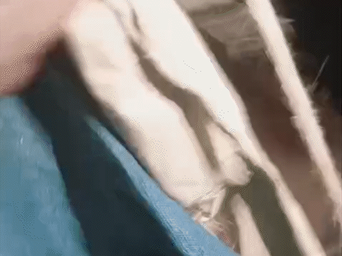 3 ग्रामीणों की पिकअप को अज्ञात युवकों ने रास्ते में रोक लिया। गाय तस्करी का शक जताते हुए जमकर मारपीट की।