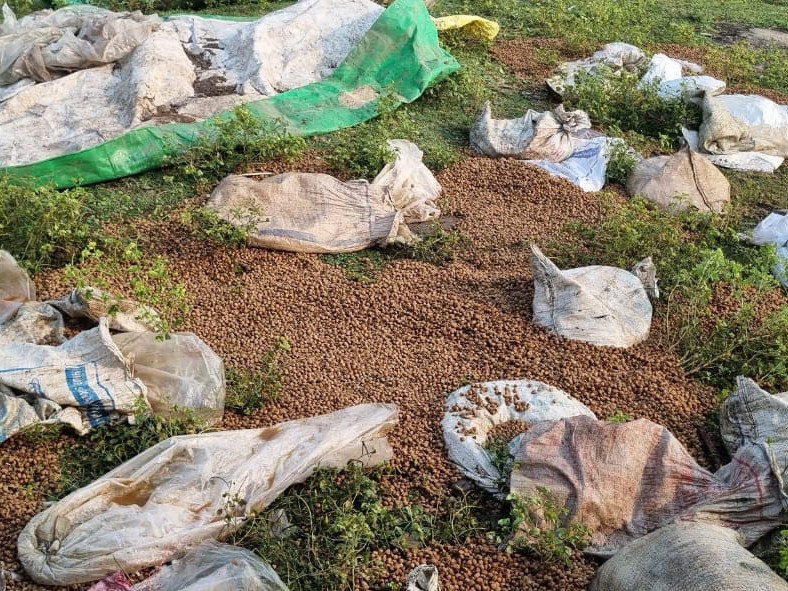पलारी में अवैध शराब कारोबार का भंडाफोड़:  10 गिरफ्तार, शराब और महुआ जब्त, पूरे क्षेत्र में होती थी सप्लाई – baloda bazar News