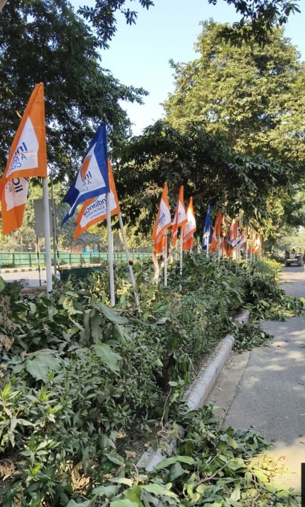 चंडीगढ़ नगर निगम का अपने ही JE पर एक्शन:  पेड़ों की छंटाई से फैला कचरा समय पर नहीं उठाने पर कर दिया चालान – Chandigarh News