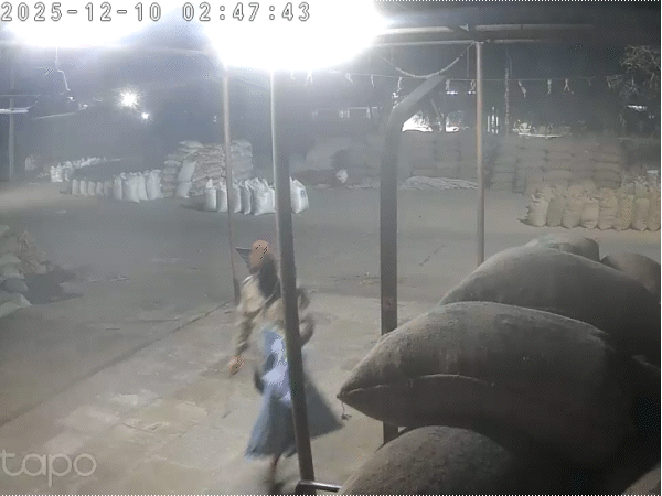 मंगलवार रात करीब दो घंटे तक चोर मंडी में बेखौफ घूमते रहे।